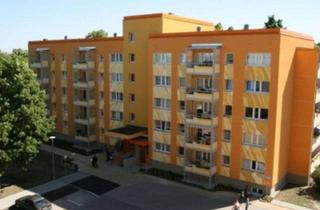 Wohnung mieten in Hüfnerstraße 15, 03042 Sandow, Behindertengerechte Wohnung in Sandow