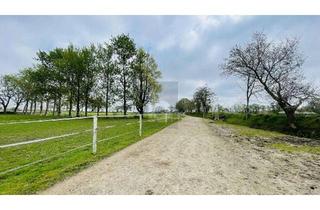 Haus kaufen in 25873 Oldersbek, RESTHOF AM REITERHOF
