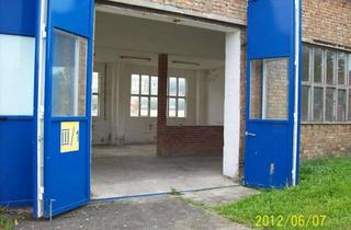 Gewerbeimmobilie mieten in Apfelalle 22, 16259 Falkenberg, Hallenflächen zwischen Eberswalde und Berlin zu vermieten