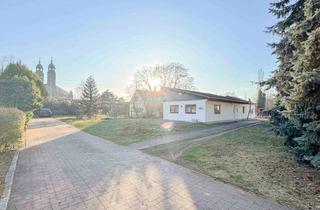 Grundstück zu kaufen in 01219 Seevorstadt-Ost/Großer Garten, Großes Baugrundstück direkt am Großen Garten