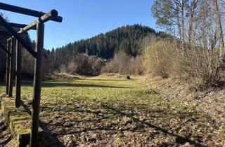 Grundstück zu kaufen in 75337 Enzklösterle, Projektenwickler aufgepasst! Großes Grundstück mit Entwicklungspotenzial!