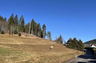 Grundstück zu kaufen in 79853 Lenzkirch, Lenzkirch-Saig, Bauplatz in Waldrand- und Aussichtslage !