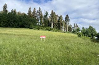 Grundstück zu kaufen in 79853 Lenzkirch, Lenzkirch-Saig, Bauplatz in Waldrand- und Aussichtslage !