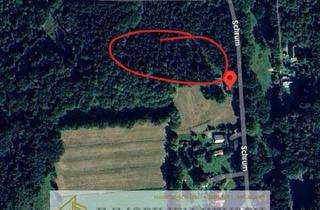 Gewerbeimmobilie kaufen in 27729 Hambergen, Preis deutlich reduziert! Eigenes Waldgrundstück in ruhiger Randlage von Hambergen