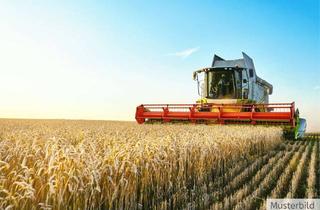 Gewerbeimmobilie kaufen in 49479 Ibbenbüren, Attraktive und gut geschnittene Ackerfläche in Ibbenbüren!