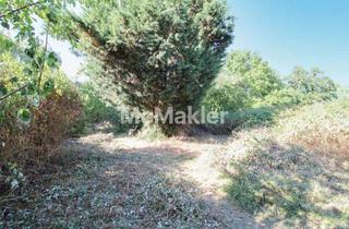 Grundstück zu kaufen in 04349 Leipzig, Natur trifft City: Teilerschlossenes Grundstück mit viel Grün in Leipzig-Thekla