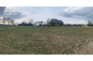 Haus kaufen in 17217 Penzlin, Penzlin - Hof in Alleinlage mit Scheune , nur noch bis 15.4.26 ohne Makler!