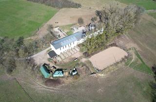 Mehrfamilienhaus kaufen in 54675 Mettendorf, Mettendorf - Reiterhof Aussiedlerhof in wunderschöner Alleinlage