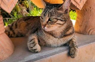 Wohnung kaufen in 76744 Wörth, Wörth am Rhein - Maximiliansau 3ZKB 91qm 2.OG Aufzug Balkon Keller Vermietet