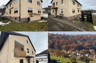 Haus kaufen in 91177 Thalmässing, Thalmässing - 2 Familienhaus mit großem Grundstück