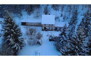 Einfamilienhaus kaufen in 37539 Bad Grund, Bad Grund (Harz) - Idyllisch gelegenes Einfamilienhaus mit Anbau