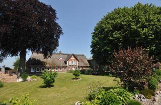 Bauernhaus kaufen in 24975 Husby, Husby - Bauernhaus unter Reet mit Außensalzwasserpool, Sauna und Garten