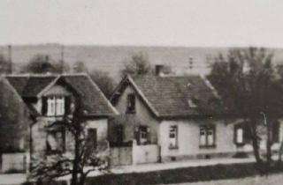Einfamilienhaus kaufen in 67269 Grünstadt, Grünstadt - EinfamilienhausDoppelhaushälfte