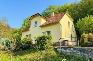 Haus kaufen in 37688 Beverungen, Beverungen - Charmantes Zweifamilienhaus in schöner Lage