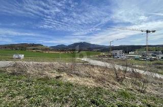 Grundstück zu kaufen in 79379 Müllheim, Müllheim - VIEL PLATZ FÜR IHRE TRÄUME - NÄHE KLINIKUM