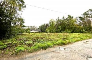 Grundstück zu kaufen in 93149 Nittenau, Nittenau - FREIRAUM FÜR IDEEN  BAUEN OHNE VORGABEN