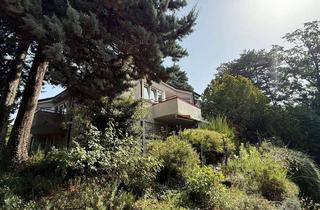 Wohnung kaufen in 79379 Müllheim, Lage Lage Lage! Lichtdurchflutete Traumwohnung!Zentral gelegen und dennoch ruhig!