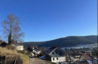 Wohnung kaufen in 72270 Baiersbronn, 2-Zimmerwohnung mit Süd-Balkon und Pkw-Stellplatz