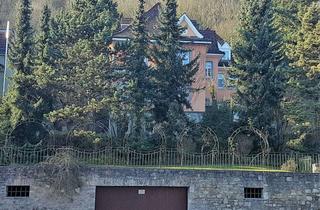 Wohnung mieten in 97082 Würzburg, 2,5 Zimmer Maisonettewohnung mit Blick auf den Main