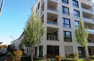 Wohnung mieten in Zillertalstraße 33, 81373 Sendling-Westpark, Gemütliche 2-Zimmer-Wohnung mit Terrasse & Garten – U6 und Westpark in der Nähe