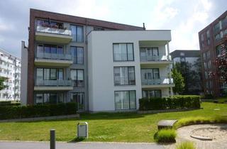 Wohnung mieten in Schleusengraben, 25335 Elmshorn, Gemütliche 2-Zimmer-Erdgeschosswohnung mit Terrasse in Innenstadtnähe