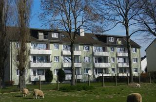 Wohnung mieten in Kiebitzweg 14, 59457 Werl, Großzügige 3-Zimmer-Dachgeschosswohnung mit sonnigem Balkon