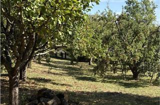 Wohnung mieten in Riedheimer Weg, 36100 Petersberg, WOHNEN AN DER OBSTWIESE - zeitgemäße 2,5-Zimmer Wohnung in Petersberg (Erstbezug)