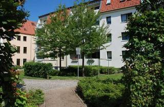 Wohnung mieten in Grützmacherstr., 23966 Altstadt, kleine 2 Raumwohnung mit Balkon in der Altstadt