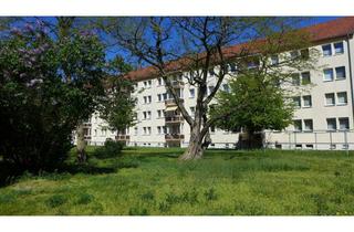 Wohnung mieten in Thomas-Mann-Straße 63, 04552 Borna, Familienwohnen in Borna Nord