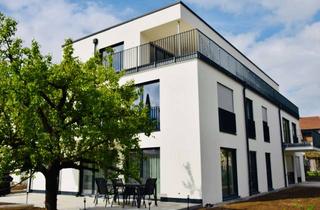 Wohnung mieten in Wilhelmstraße 10/1, 72649 Wolfschlugen, Hochwertige 2-Zimmer-Wohnung mit Süd-Terrasse