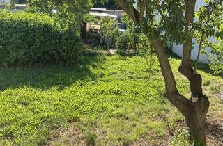 Wohnung mieten in Pfaffenbergstraße 4-8, 53474 Bad Neuenahr-Ahrweiler, 2,5 Zi.-EG-Wohnung mit Garten in Bad Neuenahr-Ahrweiler