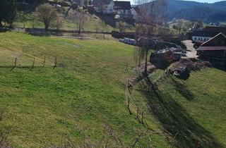 Wohnung mieten in Alte-Reichenbacher-Straße 111, 72270 Baiersbronn, 4-Zimmer Terrassenwohnung mit Balkon in Baiersbronn