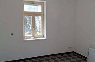 Wohnung mieten in Deubener Straße 3 a, 01159 Löbtau-Nord, Gemütliche Zentrale Einraumwohnung in Löbtau-Nord