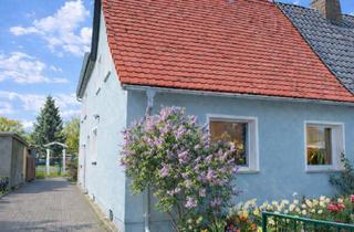 Doppelhaushälfte kaufen in 04860 Torgau, Einziehen, leben, wohlfühlen: – Doppelhaushälfte mit weitläufigem Garten in Torgau