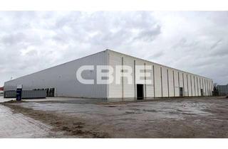 Gewerbeimmobilie mieten in 28237 Industriehäfen, Gepflegte Distributionshalle | Verfügbarkeit 01.01.2027 | Provisionsfrei