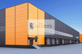 Gewerbeimmobilie mieten in 73257 Köngen, Hallenfläche zentral gelegen