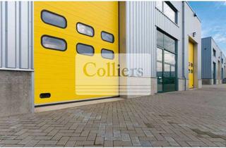 Büro zu mieten in 88131 Lindau, Hallenflächen und Büroflächen