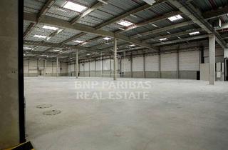 Gewerbeimmobilie mieten in 40549 Heerdt, Zentral verfügbare Hallenflächen