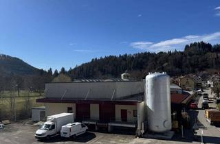 Gewerbeimmobilie kaufen in Oberfeldstr. 2a, 79677 Aitern, Industriehalle mit Verschiebeanlage