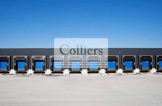 Gewerbeimmobilie mieten in 70794 Filderstadt, Halleflächen verfügbar