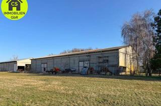 Gewerbeimmobilie kaufen in 06917 Jessen, Besichtigung am 14.04.! Lagerhalle in Dixförda bei Jessen