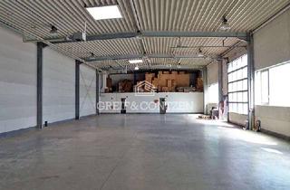 Gewerbeimmobilie mieten in 53842 Troisdorf, Multifunktionale Gewerbehalle mit Außenfläche | zentrale Lage im Gewerbegebiet Biberweg