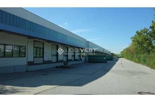 Gewerbeimmobilie mieten in 63505 Langenselbold, Logistikhallen an der A45