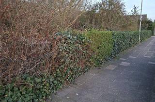 Grundstück zu kaufen in Auf Dem Berg, 47495 Rheinberg, IMMOKONZEPT-NIEDERRHEIN: tolles Baugrundstück !! Größe variabel von ca. 1500m² bis ca. 2000m² ....