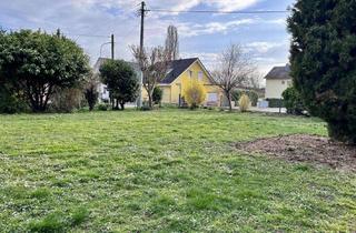 Grundstück zu kaufen in 67366 Weingarten, Attraktives Eckgrundstück in ruhiger Randlage - Mit positiver Bauvoranfrage für Ihr Einfamilienhaus!