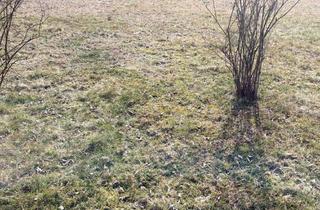 Grundstück zu kaufen in 36124 Eichenzell, Baugrundstück in Eichenzell Löschenrod