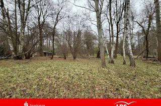 Grundstück zu kaufen in 16341 Panketal, Drei tolle Baugrundstücke in Panketal!