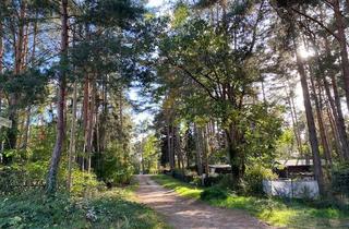 Grundstück zu kaufen in Sonnenallee 9 / Mittelweg, 15749 Mittenwalde, Idyllisch gelegenes Baugrundstück in Töpchin!