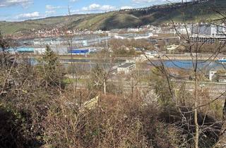 Grundstück zu kaufen in 70329 Hedelfingen, ** Gartengrundstück in S-Hedelfingen zu verkaufen!!! * 1.287 qm * frei ab sofort! **