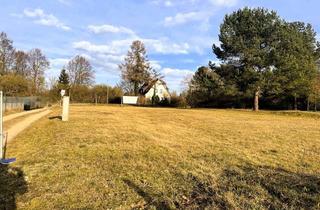 Grundstück zu kaufen in 17235 Neustrelitz, Baugrundstück in ländlicher Idylle nur 2 Kilometer von Neustrelitz entfernt